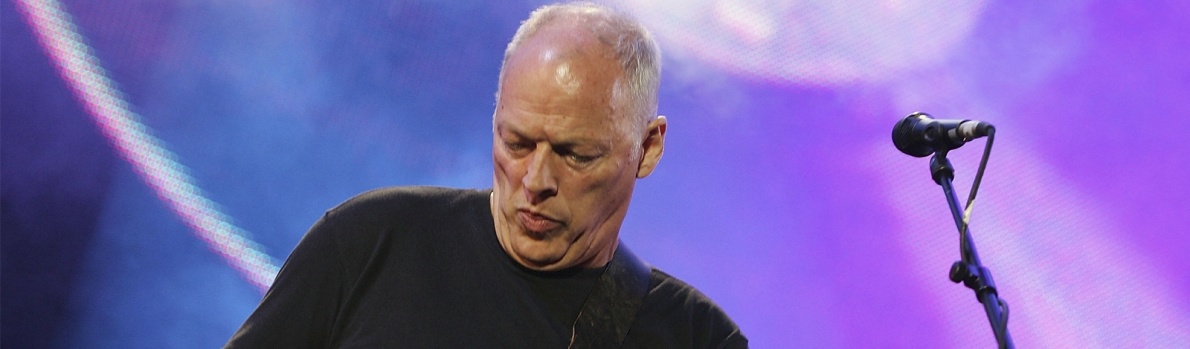 David Gilmour