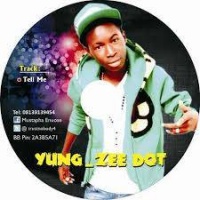 Top những bài hát hay nhất của Young Zee