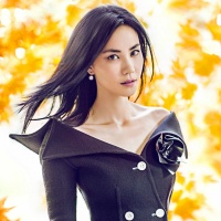 Top những bài hát hay nhất của Faye Wong