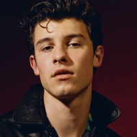 Top những bài hát hay nhất của Shawn Mendes