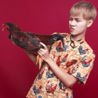 Top những bài hát hay nhất của Bá Hưng