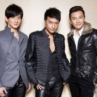 Top những bài hát hay nhất của Little Tigers