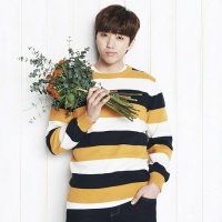 Top những bài hát hay nhất của Sandeul (B1A4)