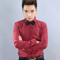 Top những bài hát hay nhất của Dương Quang Tú