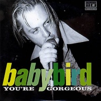 Top những bài hát hay nhất của Babybird