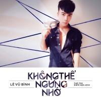Không Thể Ngừng Nhớ - Lê Vũ Bình