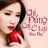 Chỉ Đắng Cay Ở Lại - Bảo Thy
