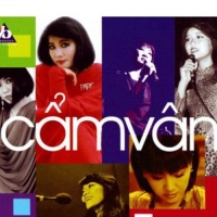 Đêm Thành Phố Đầy Sao - Cẩm Vân