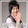 Những Bài Hát Hay Nhất Của Wanbi Tuấn Anh - Wanbi Tuấn Anh