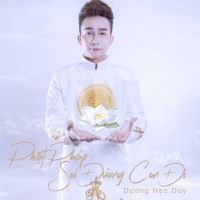 Phật Pháp Soi Đường Con Đi - Dương Hạo Duy
