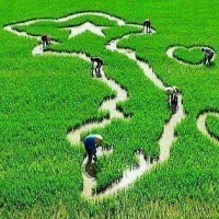 Đất Nước Tình Yêu - Ngọc Ký