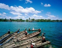 Áo Mới Cà Mau (Vol 1) - Đức Trung