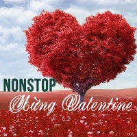 Nonstop Mừng Valentine - Various Artists