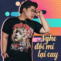 Nghe Đôi Mi Lại Cay - Nguyễn Đình Vũ