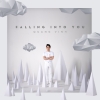 Falling Into You (Single) - Quang Vinh