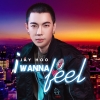 I Wanna Feel (Single) - Jay Hoo