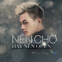 Nên Chờ Hay Nên Quên (Single) - Phan Duy Anh