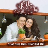 Yêu Đôi Khi Phải Dừng Lại (Single) - Nhật Tinh Anh, Nhật Kim Anh