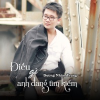 Điều Gì Anh Đang Tìm Kiếm - Dương Nhân Trung