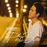 Phố Đêm - Tùng Anh (Bolero)