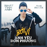 Bởi Vì Anh Yêu Đơn Phương (The Remix 2018) - Nhật Tinh Anh