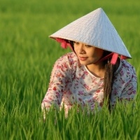 Quê Hương Và Người Tình (Vol 1) - Lâm Thi