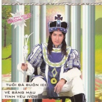 Tuổi Đá Buồn - Nguyễn Phi Hùng
