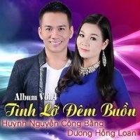Tình Lỡ Đêm Buồn - Dương Hồng Loan, Huỳnh Nguyễn Công Bằng