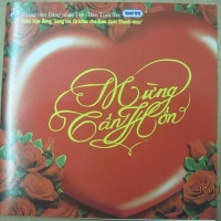 Mừng Tân Hôn - Various Artists