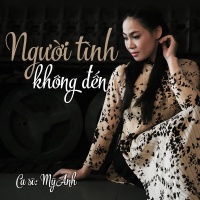 Người Tình Không Đến - Mỹ Anh