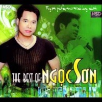 Đôi Ngã Chia Ly - The Best Of Ngọc Sơn - Ngọc Sơn