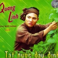 Tát Nước Đầu Đình - Quang Linh