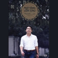 Ngõ Vắng Xôn Xao - Trọng Tấn