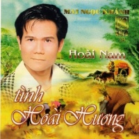 Tình Hoài Hương - Various Artists