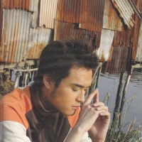 Greatest Hits - Quang Vinh