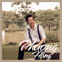Phượng Hồng (Single) - Tấn Sơn
