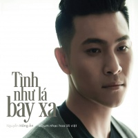 Tình Như Lá Bay Xa - Nguyễn Hồng Ân