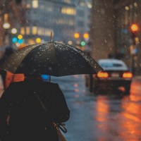 Chuyện Tình Cơn Mưa - Various Artists