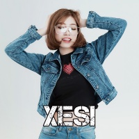 Những Bài Hát Hay Nhất Của Xesi - Various Artists