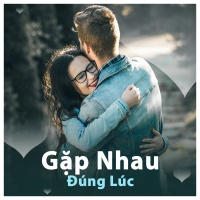 Gặp Nhau Đúng Lúc - Various Artists