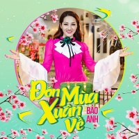 Đón Mùa Xuân Về (Single) - Bảo Anh