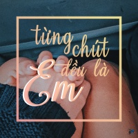 Từng Chút Đều Là Em - Various Artists