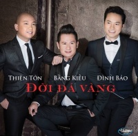 Đời Đá Vàng - Various Artists