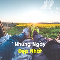 Những Ngày Đẹp Nhất - Various Artists