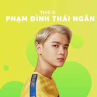 Những Bài Hát Hay Nhất Của Phạm Đình Thái Ngân - Phạm Đình Thái Ngân