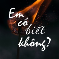 Em Có Biết Không? - Various Artists