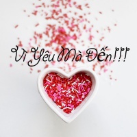 Vì Yêu Mà Đến - Various Artists