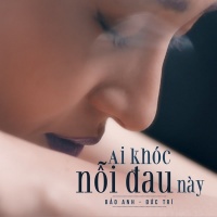 Ai Khóc Nỗi Đau Này (Single) - Bảo Anh