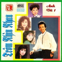 Trộm Nhìn Nhau - Anh Vũ