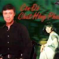 Còn Đó Chút Hồng Phai - Cẩm Vân